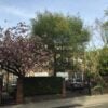 House Loudoun Road in City of Westminster