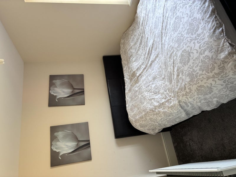 Room Gretna Road in Newcastle upon Tyne