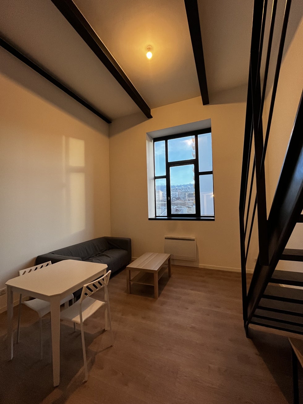 Appartement Rue Buffon à Saint-Étienne