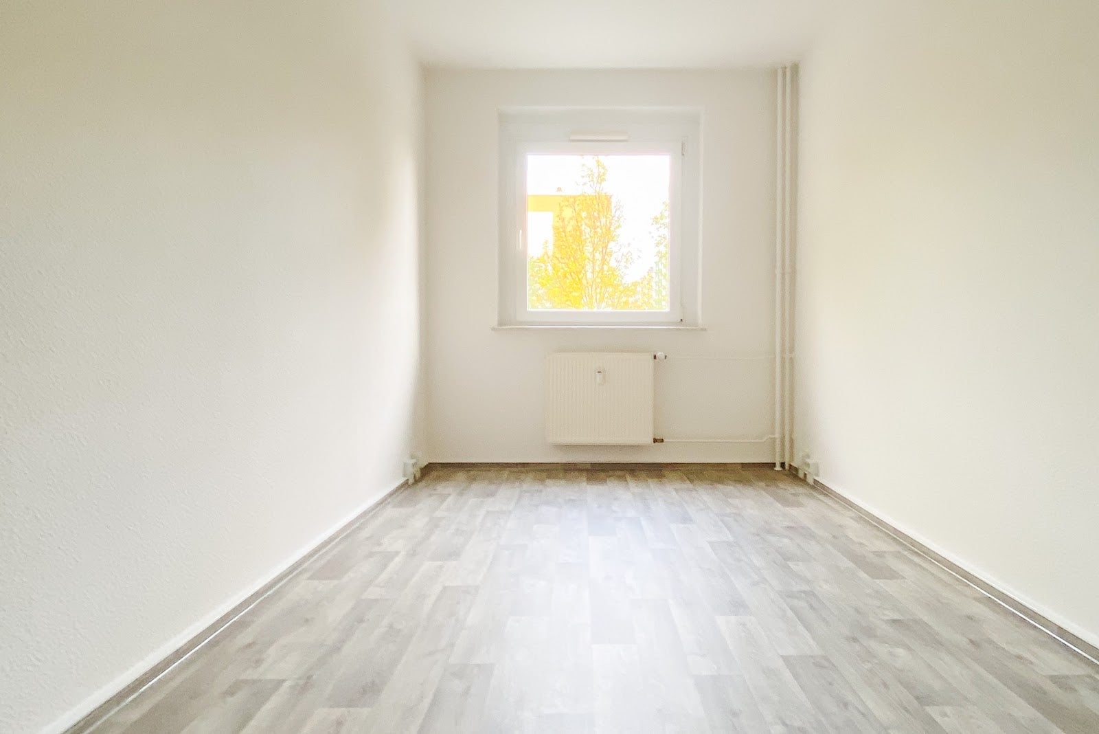 Wohnung Wilhelm-Firl-Straße in Chemnitz