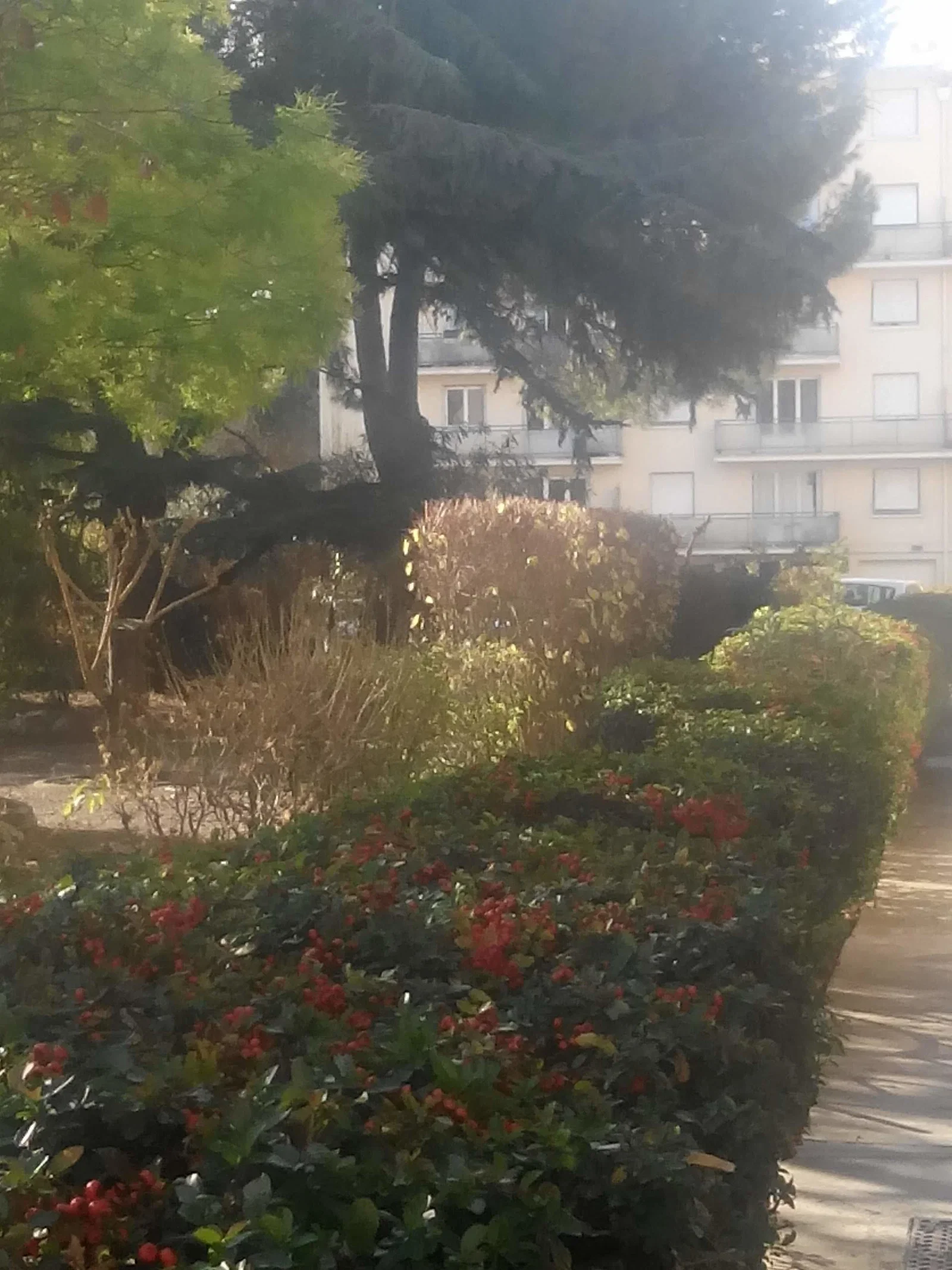 Chambre Avenue de Palavas à Montpellier