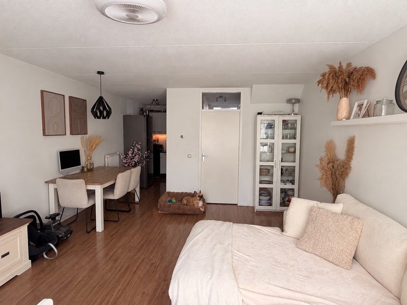 Appartement De Ruyterstraat in IJmuiden