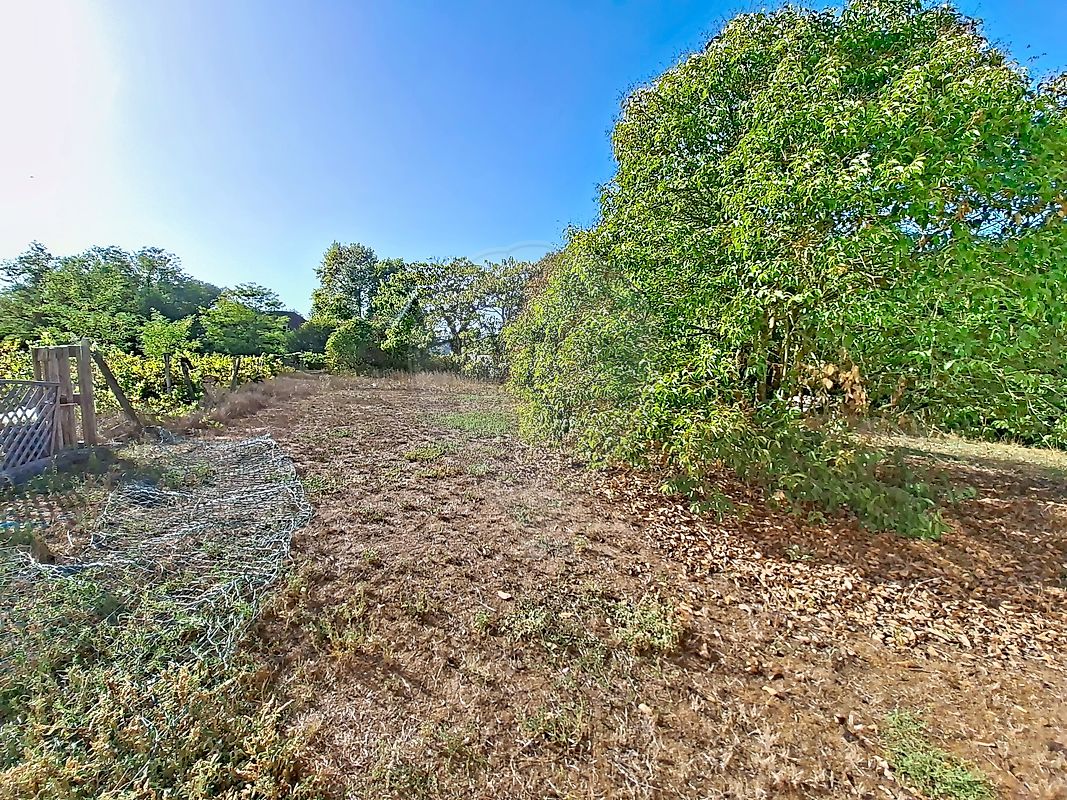 Maison Route des Landes à Illats