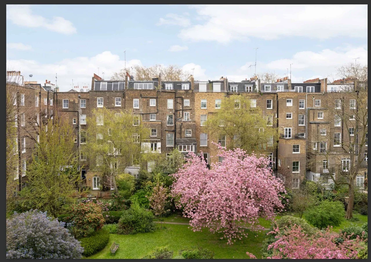 Room Elgin Crescent in Greater London