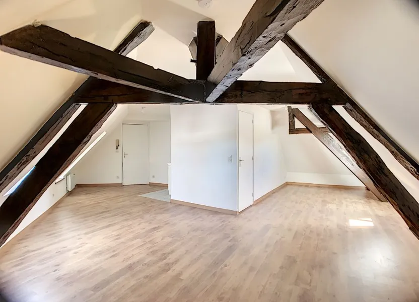 Flat Rue de Champmarcou in Sandillon
