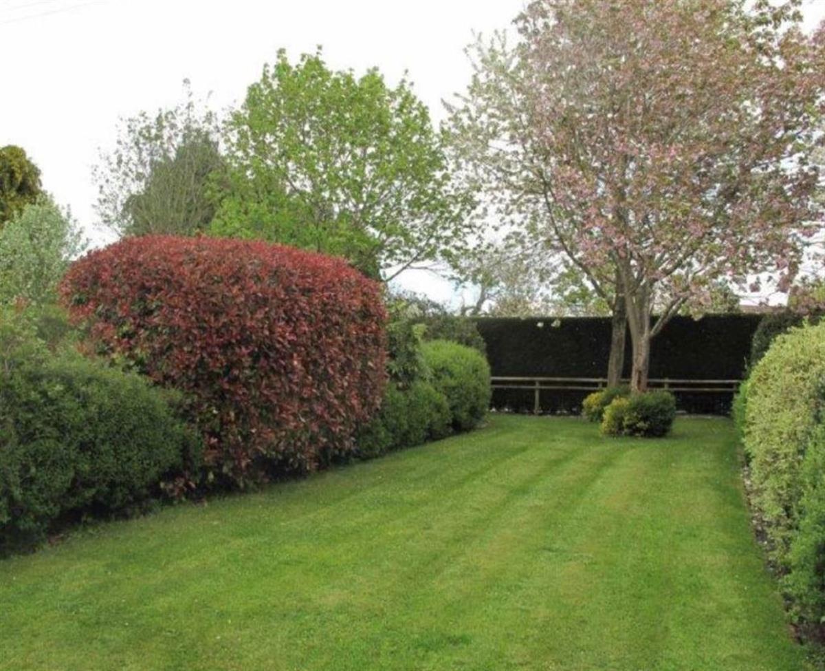 House Ludlow Bypass in Ashford Carbonell
