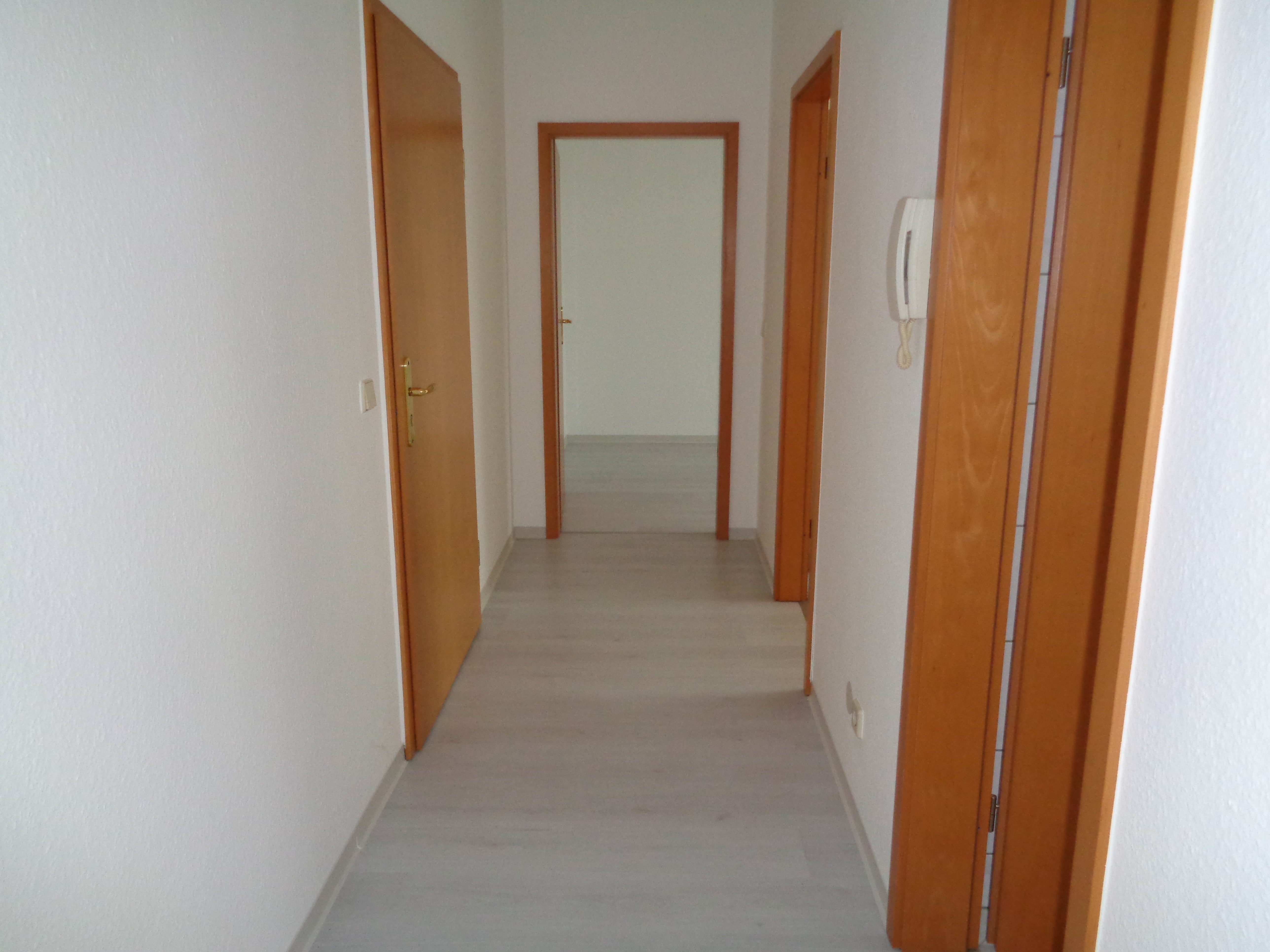 Wohnung Seestraße in Plauen