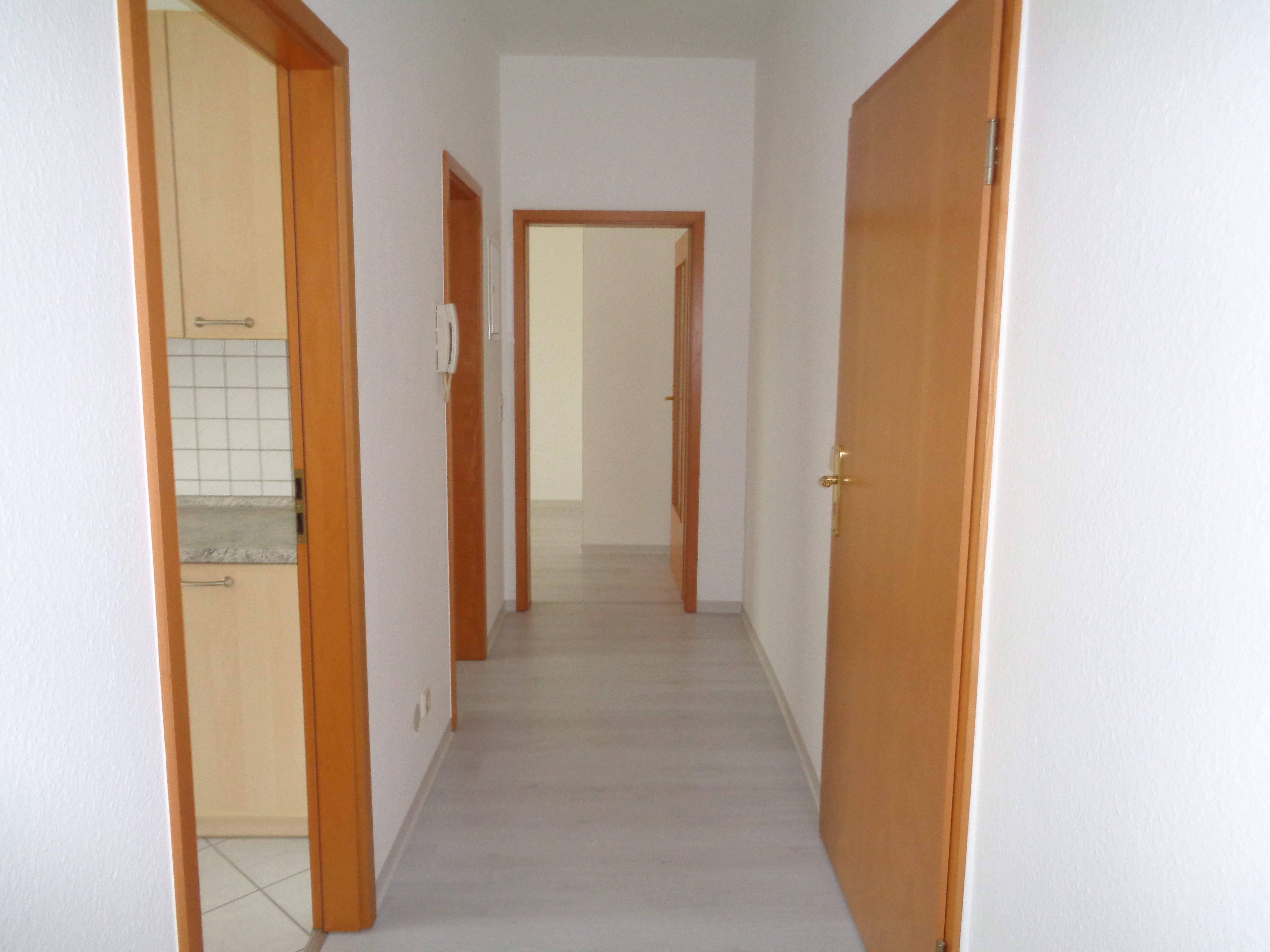 Wohnung Seestraße in Plauen