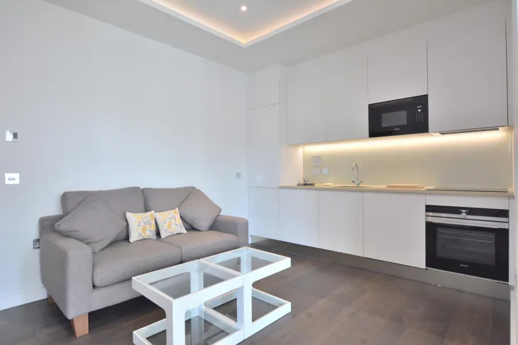 Flat Swiss Terrace in Greater London
