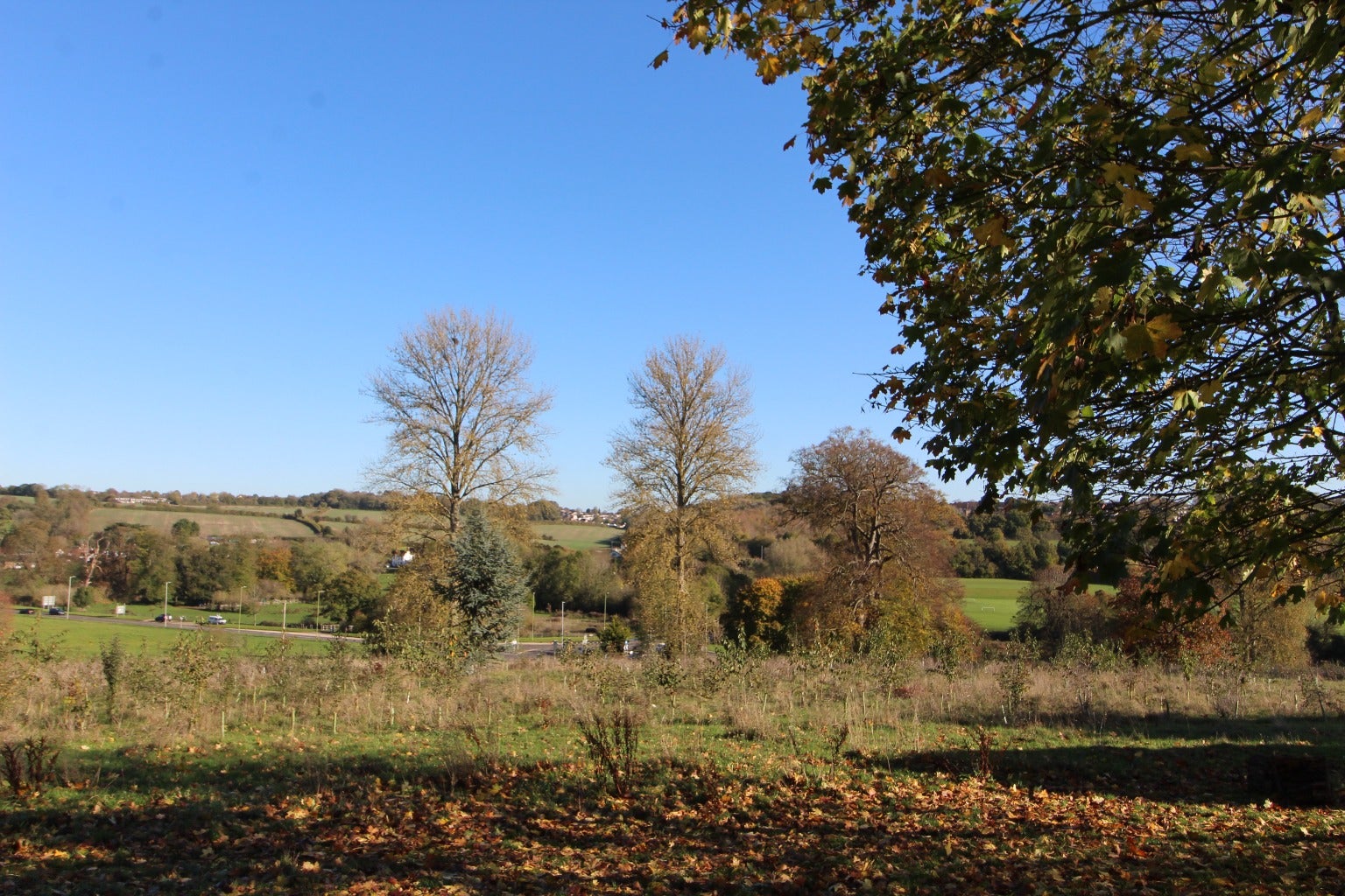 House Wood View in Hemel Hempstead