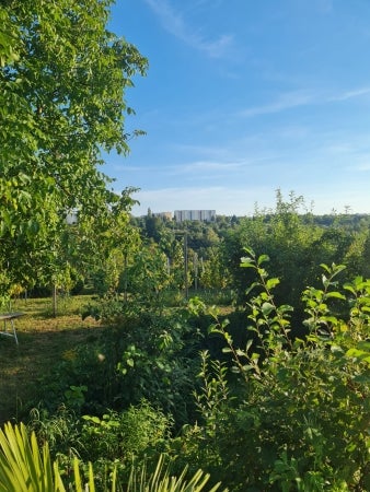 Wohnung Sebald-Waldstein-Straße in Zeitz