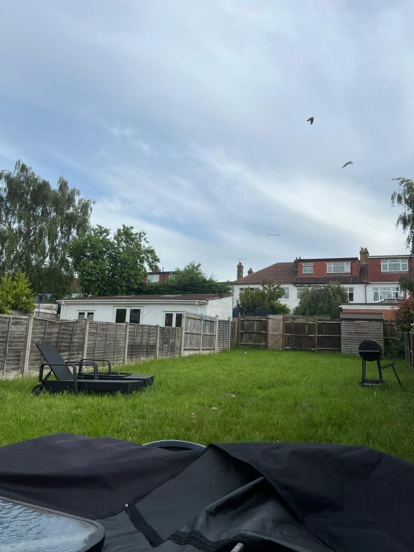 Room Siward Road in Greater London