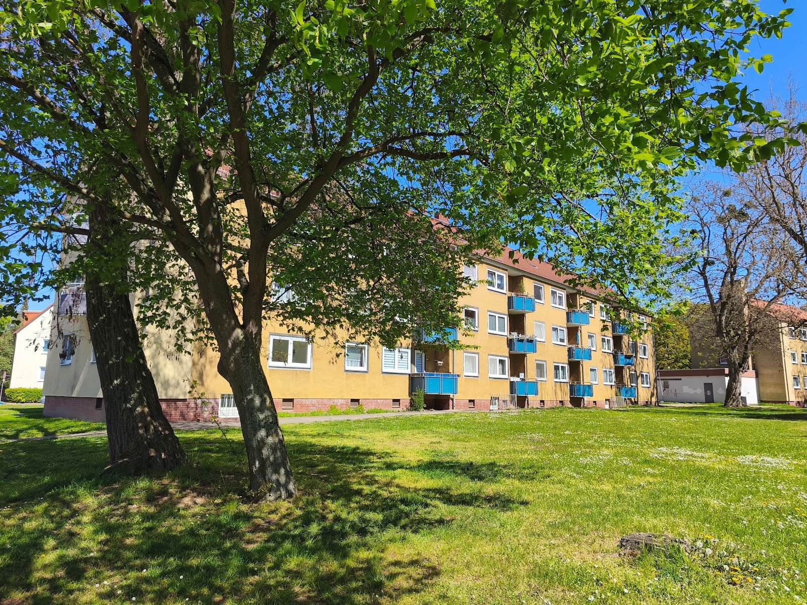 Wohnung Neuer Mühlenweg in Salzgitter