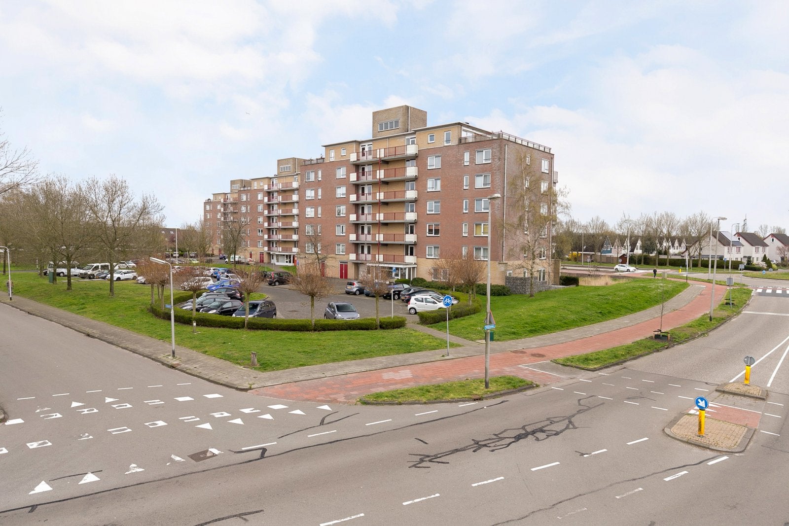 Flat Smeetsmastins in Leeuwarden