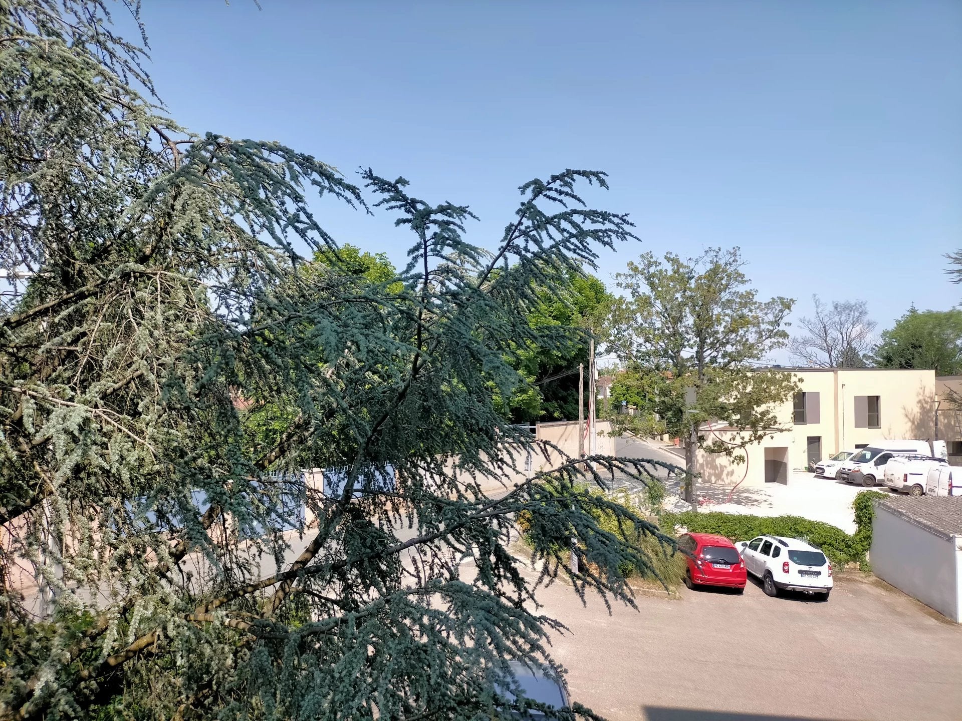 Flat Rue Berjon in Lyon
