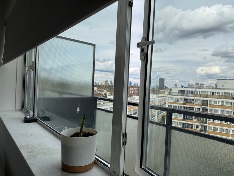 Room Lupus Street in City of Westminster