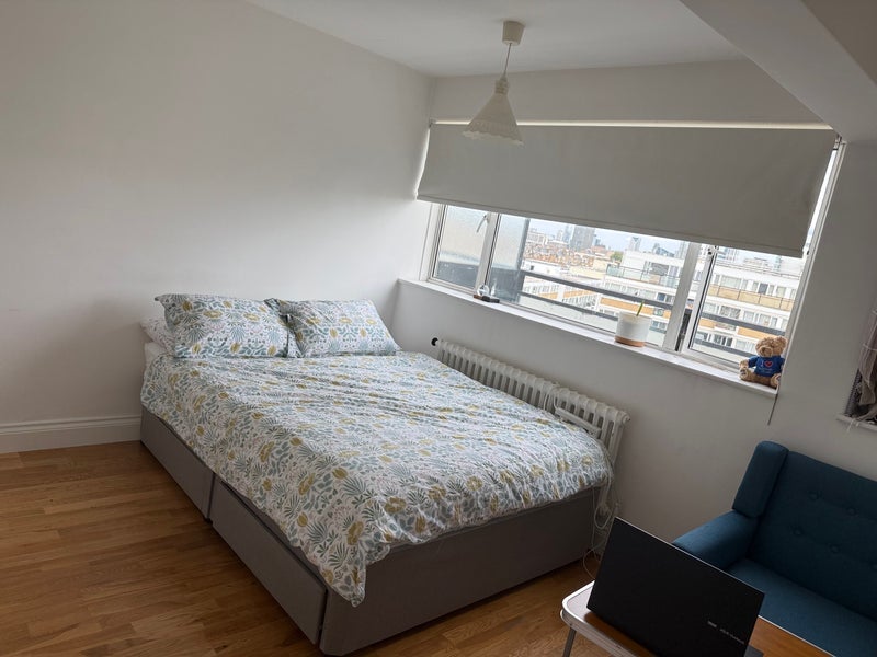 Room Lupus Street in City of Westminster