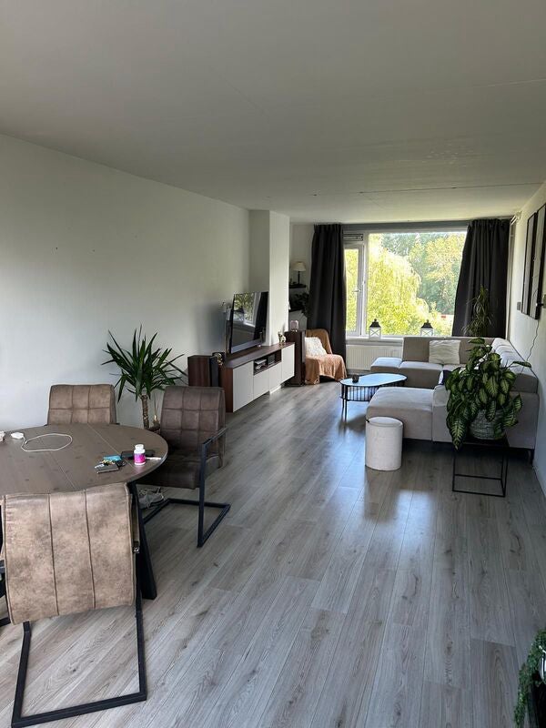 Flat Roelantstraat in Alkmaar