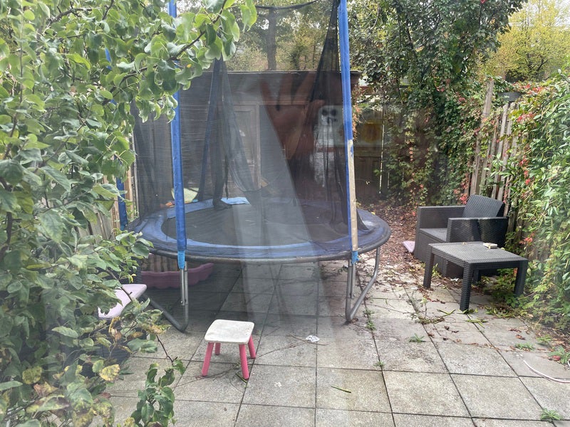 Appartement Anthony Spatzierhof 2