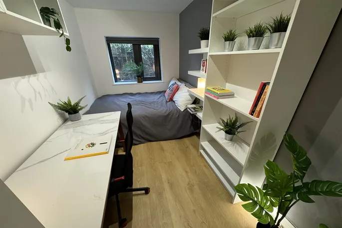 Room Chilwell Road in Nottingham