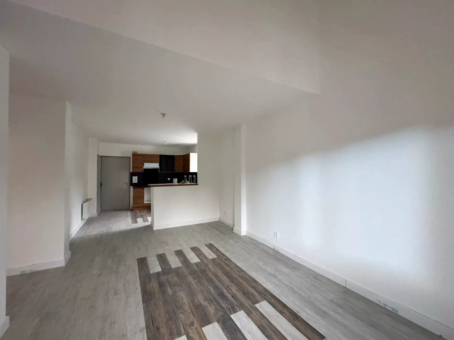 Appartement Rue Jean et Hippolyte Vial à Saint-Étienne