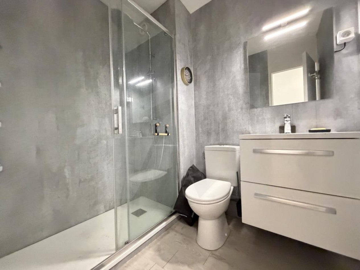 Flat Rue des Bergers in Grenoble