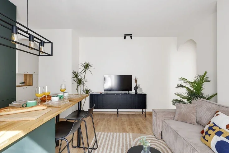 Flat Rue de l'Amiral Roussin in Paris