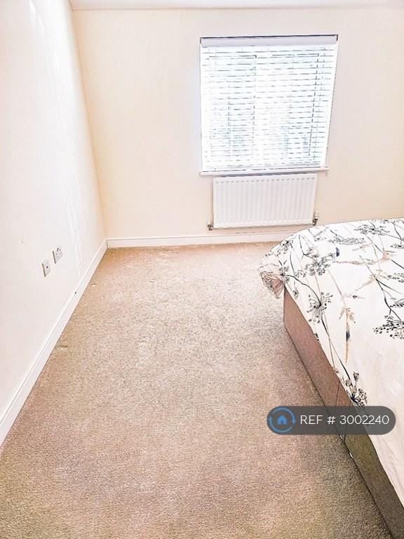 Room Cambria Crescent in Borough of Swale