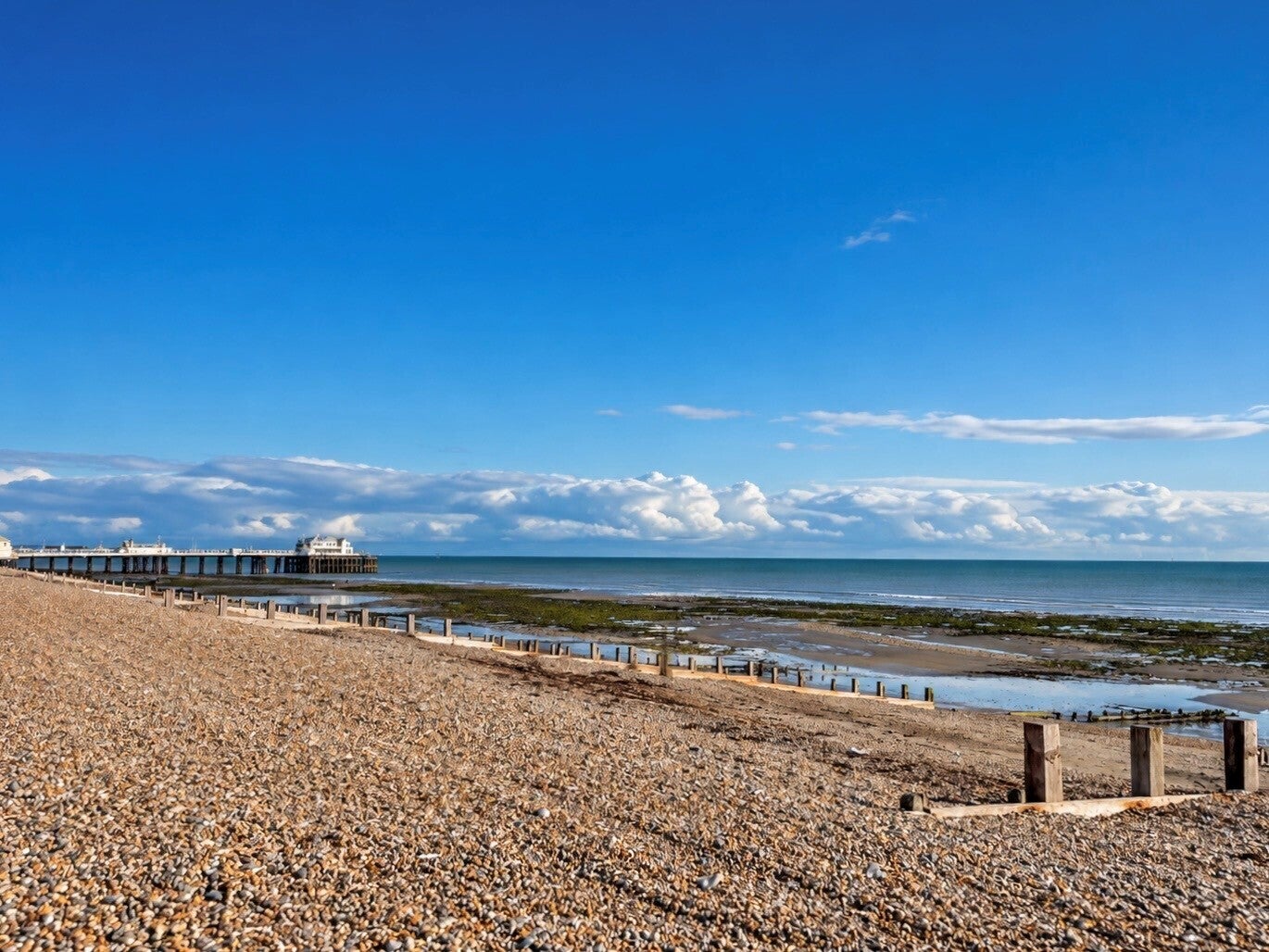 Flat Thorn Road in Worthing