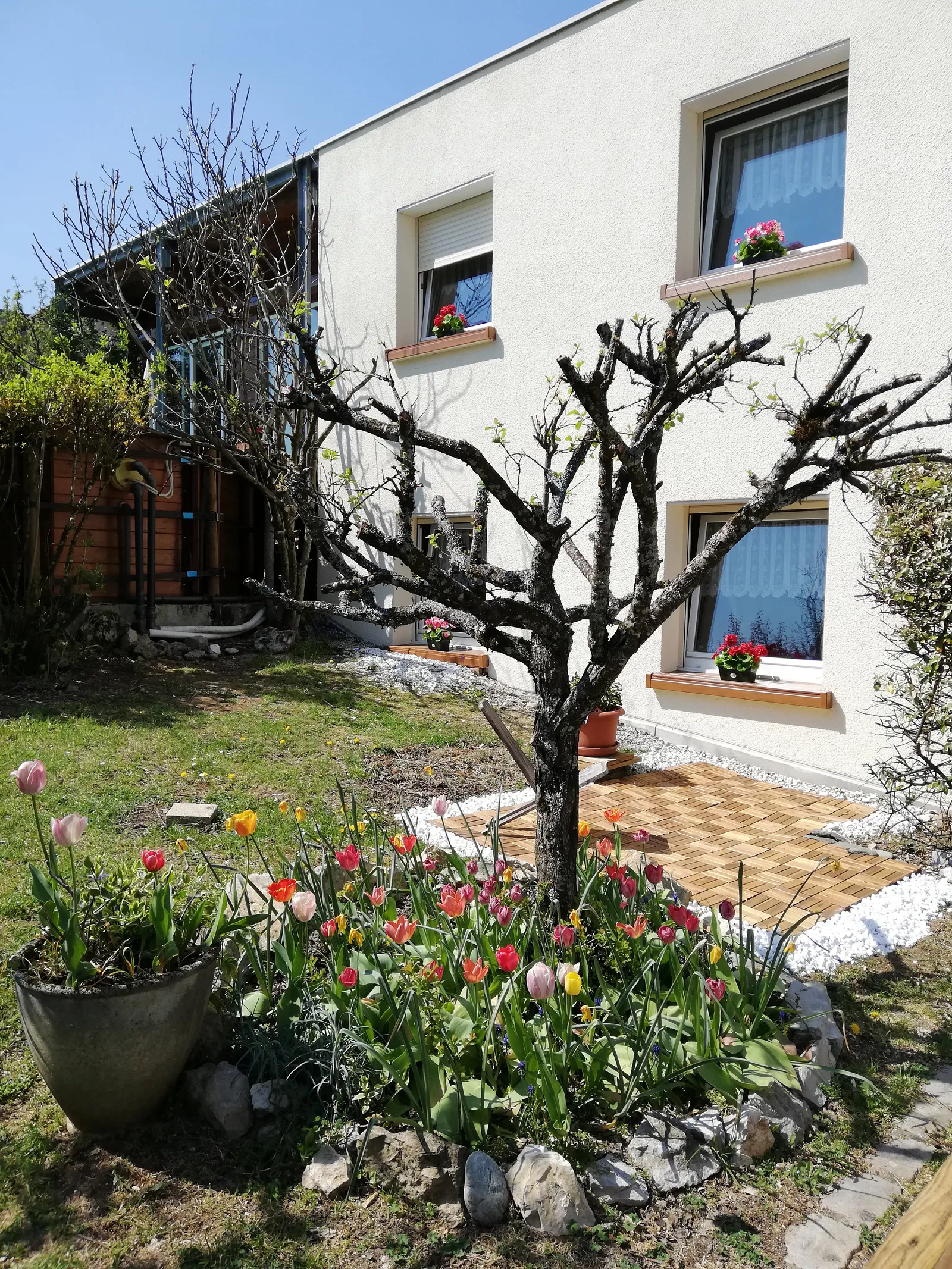 Flat Rue de la Sablonnière in Montfaucon