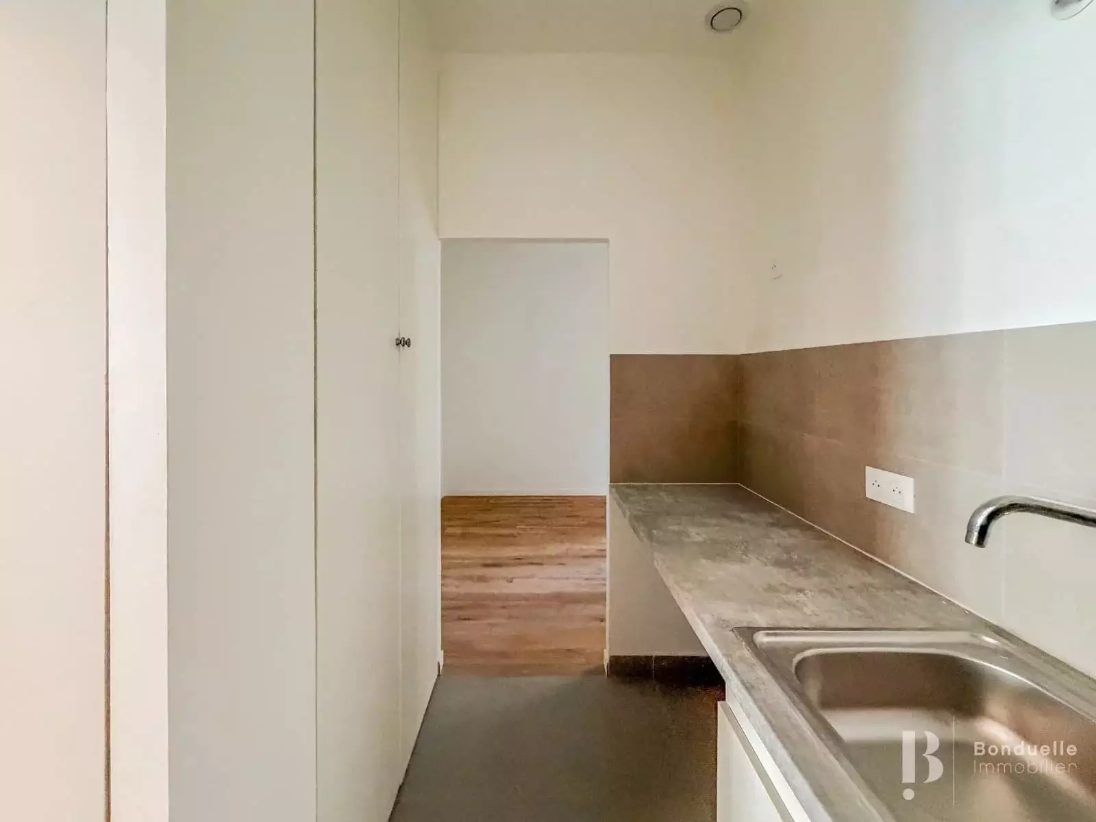 Flat Avenue Hoche in Paris