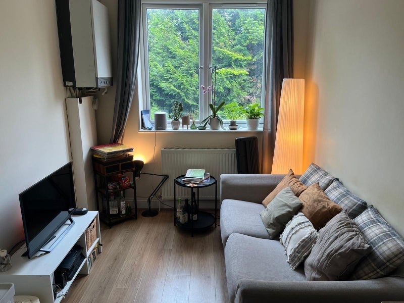 Room Frithville Gardens in Greater London