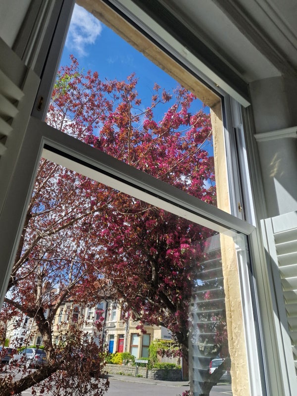 Room Seymour Avenue in Bristol