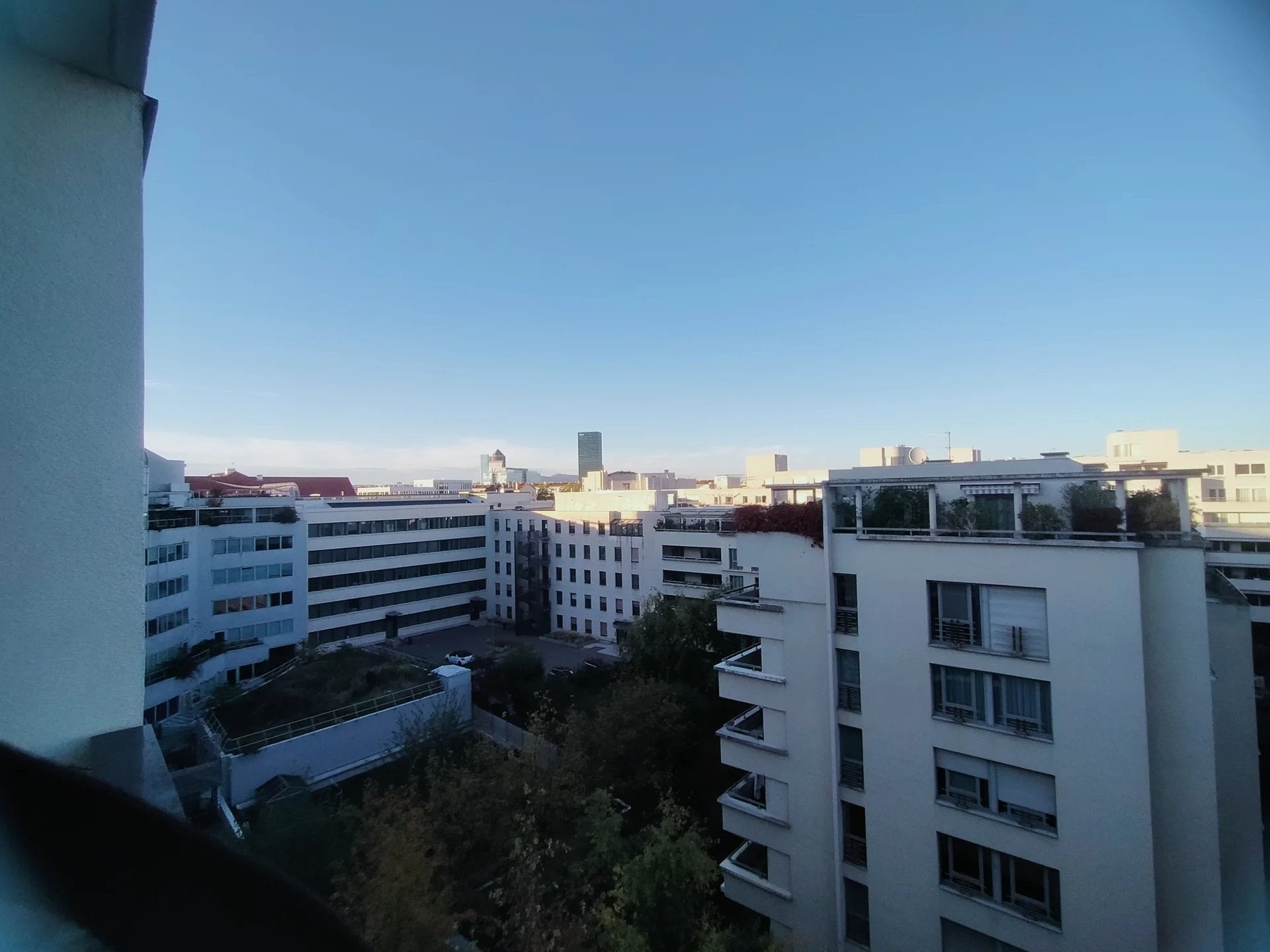Flat Cours Albert Thomas in Lyon