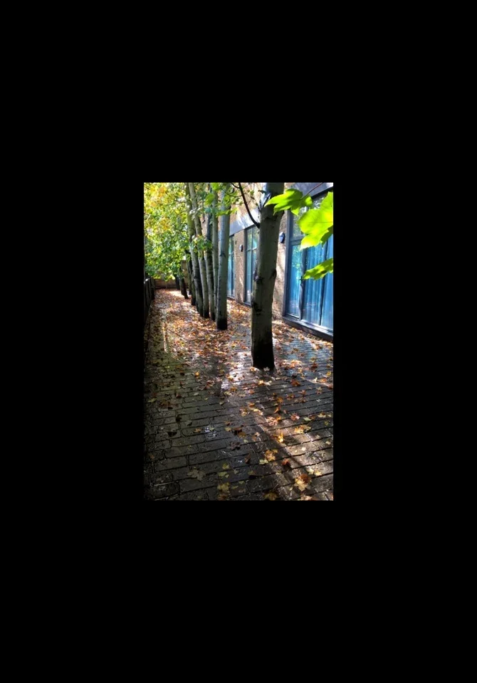 Flat Dermody Road in Greater London