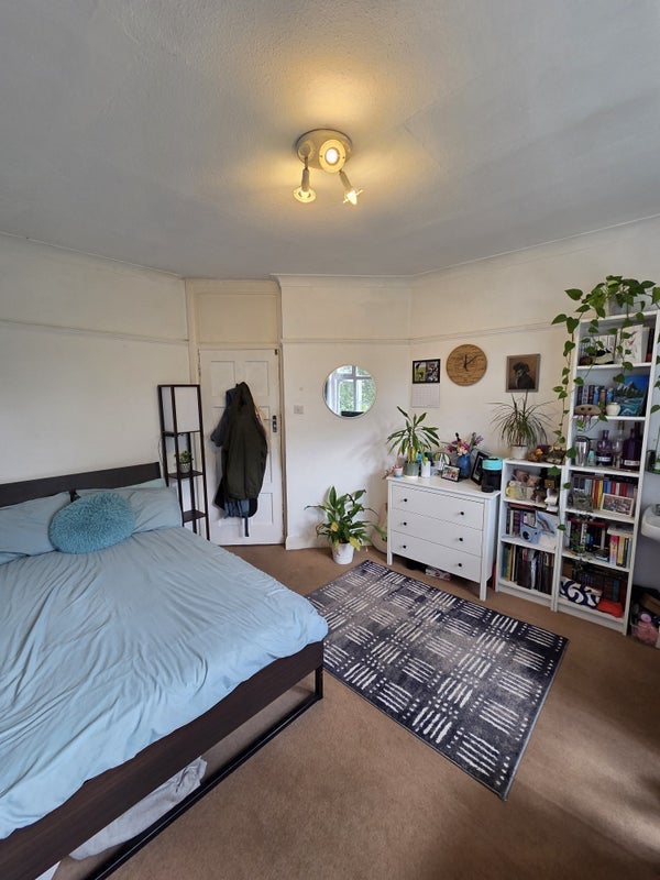 Room Stanhope Court in Greater London