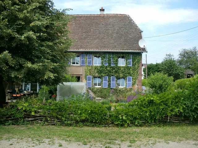 Room Rue des Sapins in Petit-Croix