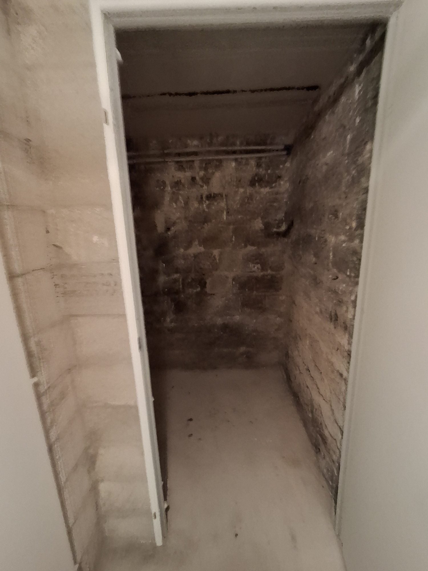 Flat Rue de l'Ouest in Paris