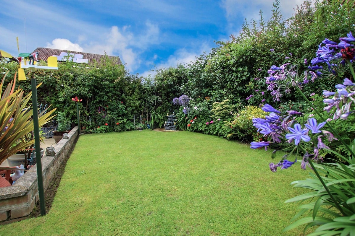 House Corner Field in Ashford