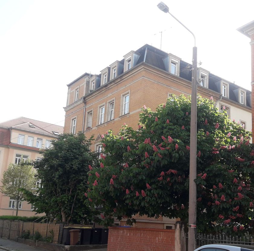 Wohnung Frankfurter Straße in Dresden