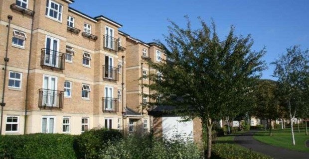 Room Venneit Close in Oxford