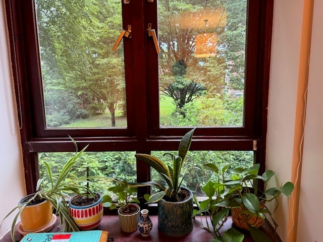 Room Mildmay Grove North in Greater London