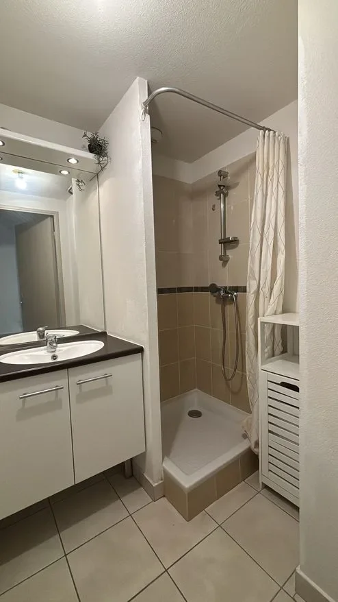 Appartement Rue Sabine et Miron Zlatin à Lyon