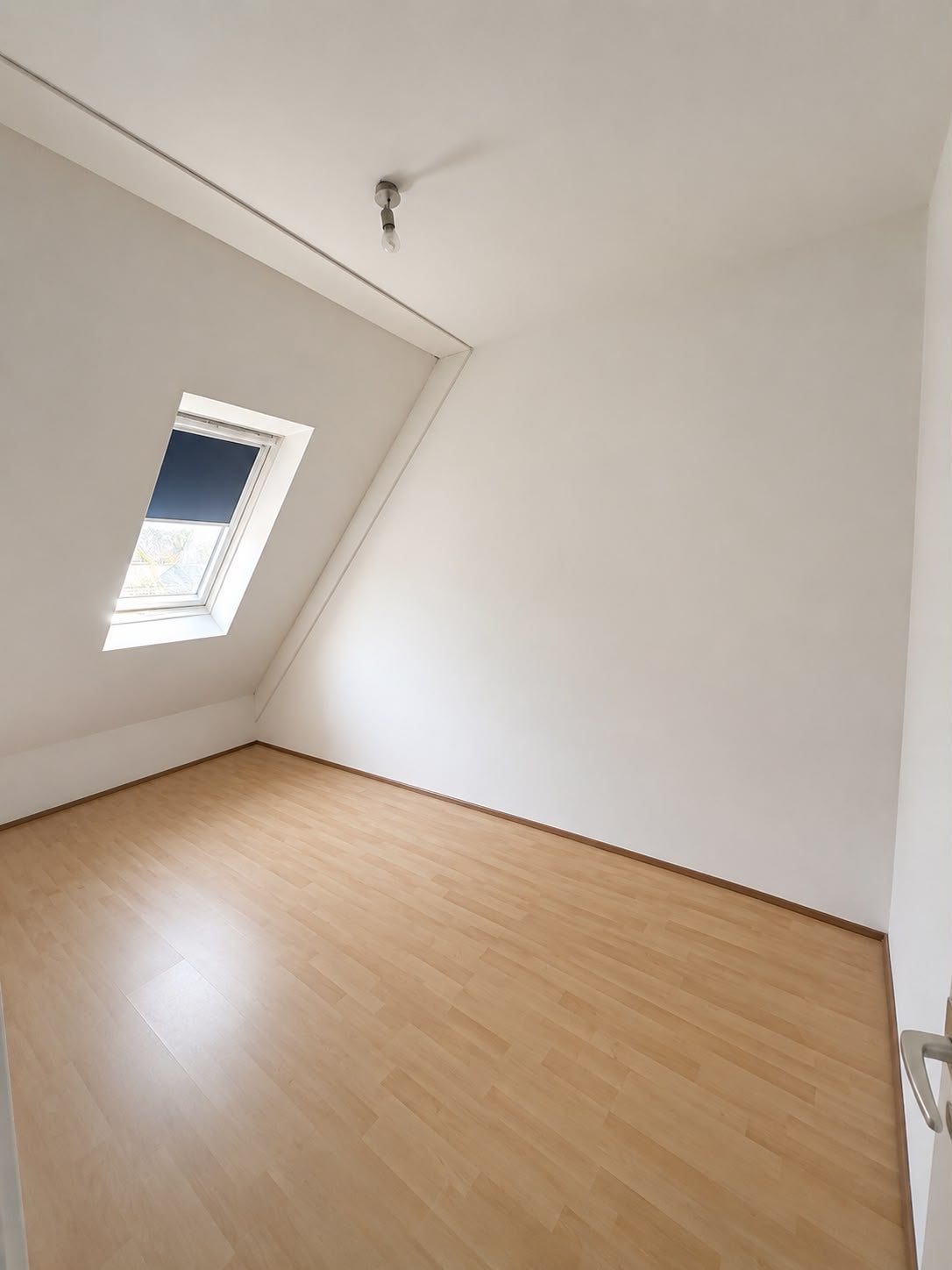 Huis Elise van Calcarstraat 32 in Leiden