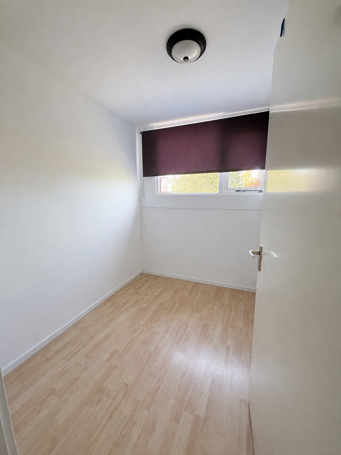 Huis Elise van Calcarstraat 32 in Leiden