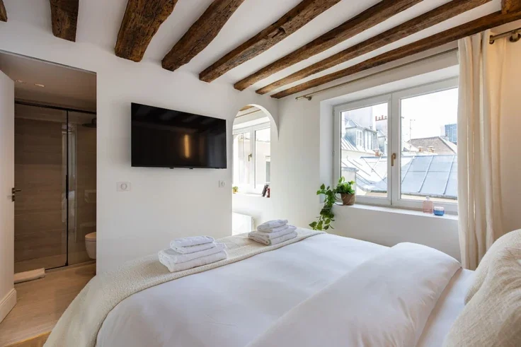 Flat Rue Saint-Séverin in Paris