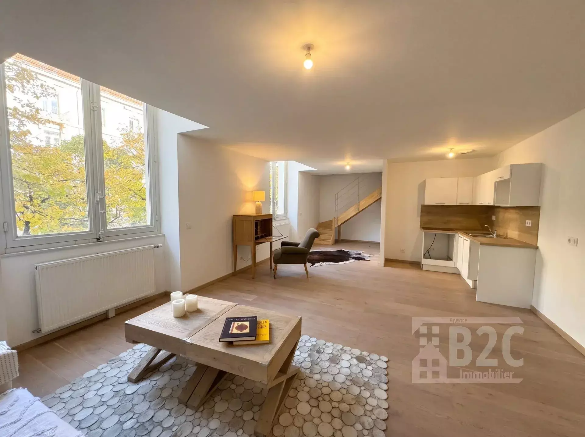 Flat Boulevard Gambetta in Grenoble