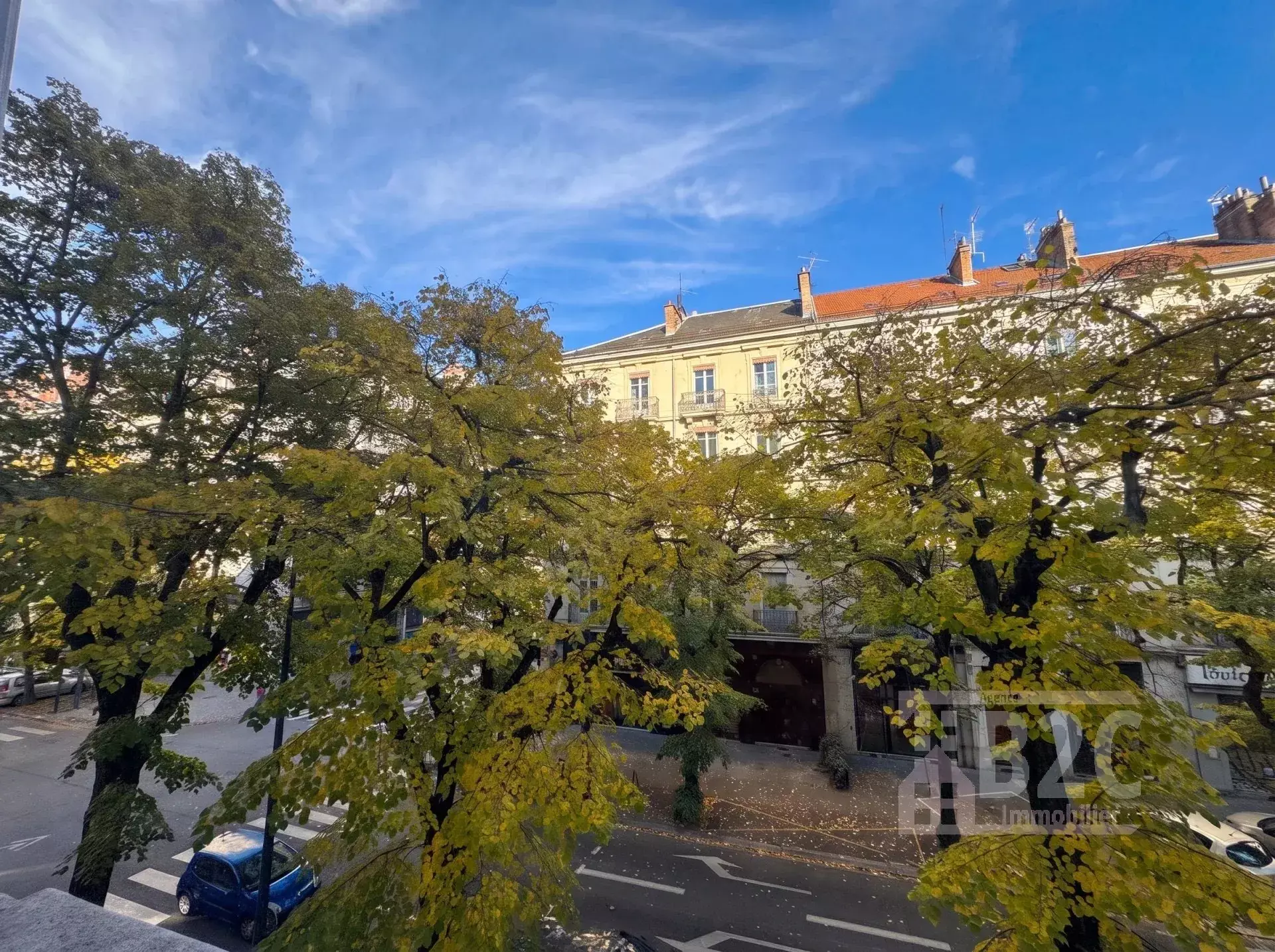 Flat Boulevard Gambetta in Grenoble