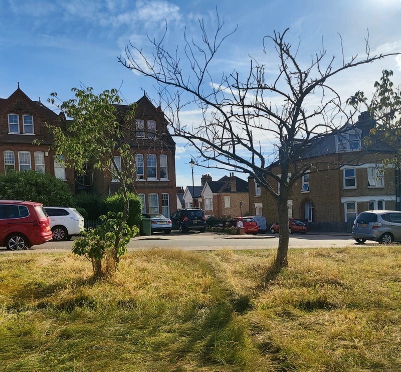 Room Chalsey Road in Greater London