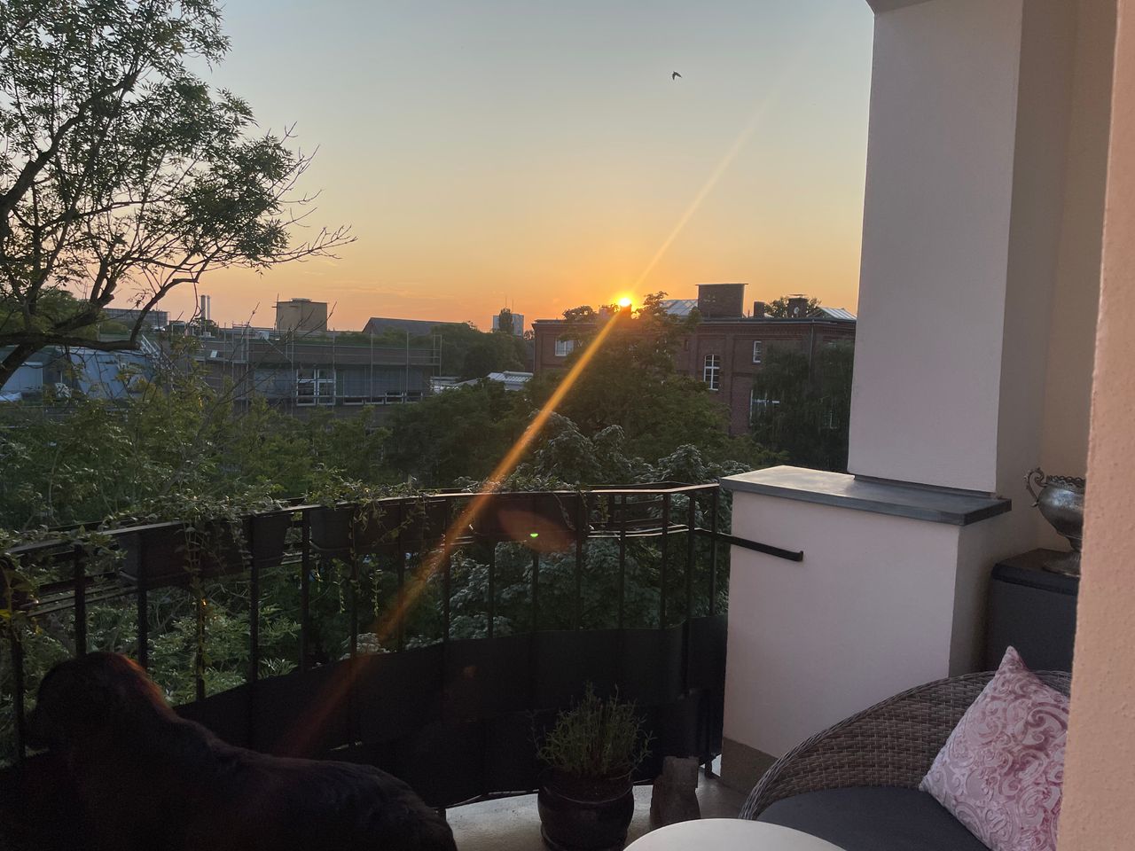 Wohnung Nicolaistraße in Berlin